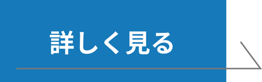 詳しく見る